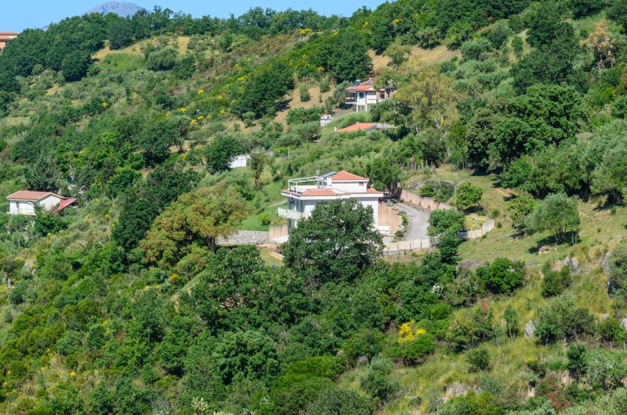 Drius Edode - B&B Affittacamere Torraca Exterior foto